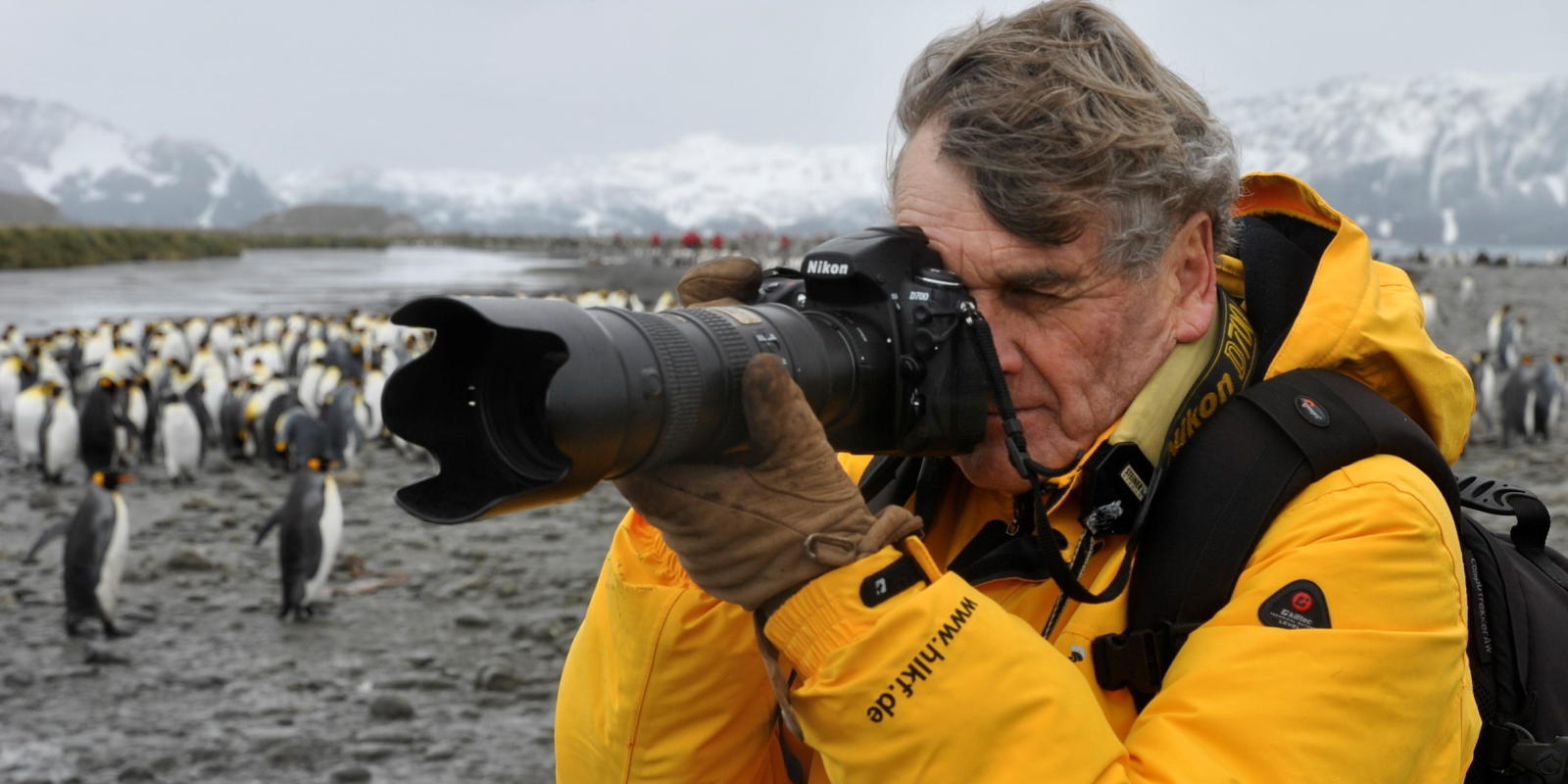 Der STAB-Jahrespreisträger, fotografiert für den ART-Jahreskalender: Benno Lüthi bei den Königspinguinen in Südgeorgien. (Bild: Daniel J. Schüz)